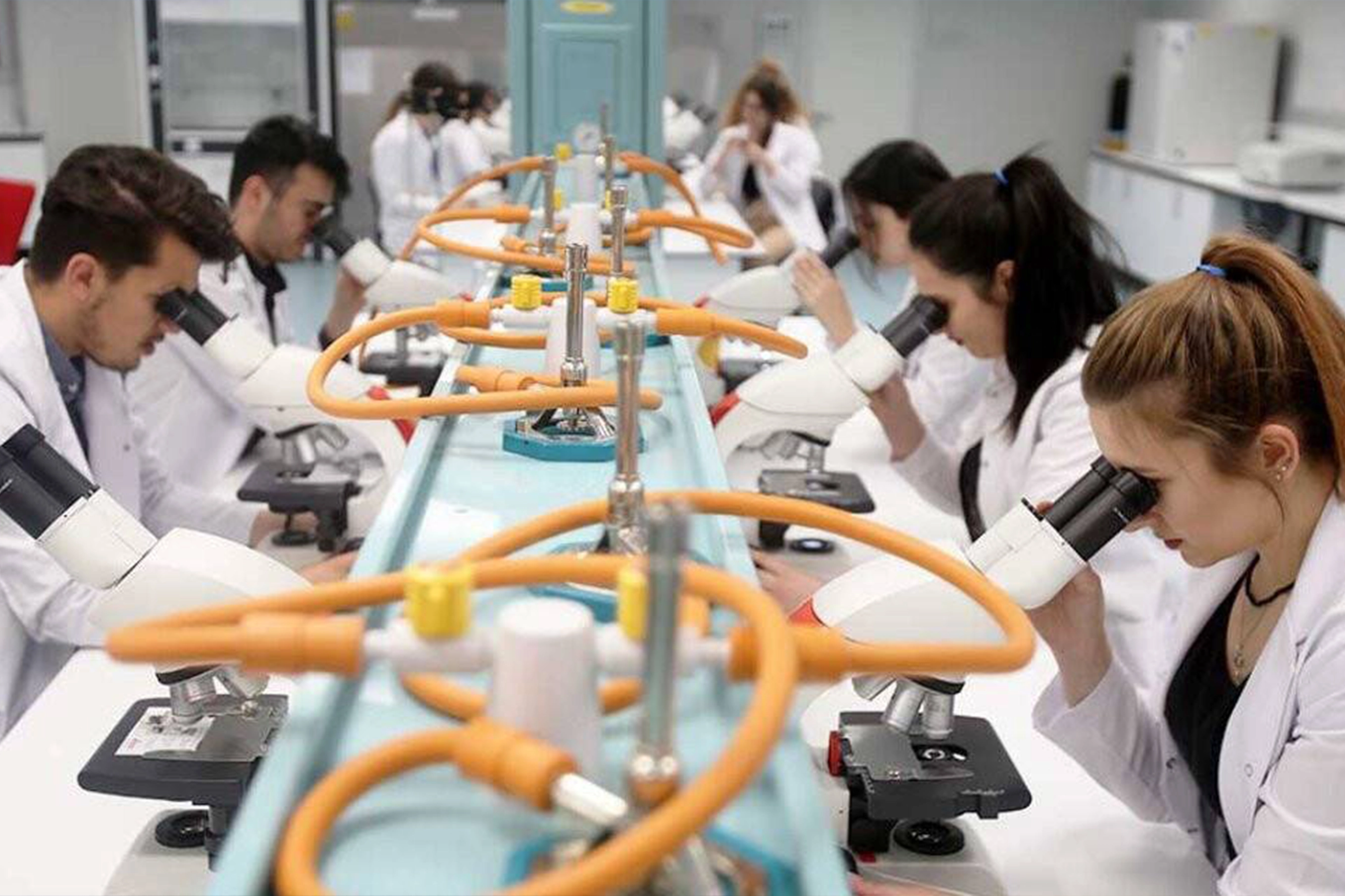 Kazan Federal Üniversitesi Tıp Fakültesi Ders İçeriği